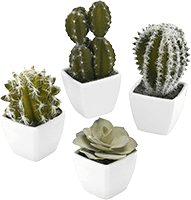 4x Artificial Mini Cactus