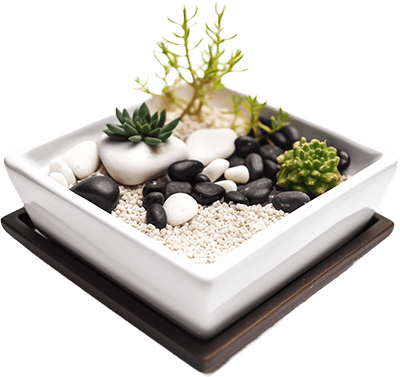 DIY Mini Zen Garden: How to Create a Serene Space on Your Desk - Zen Garden World