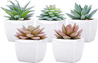 5x Artificial Succulent Plants in Pots